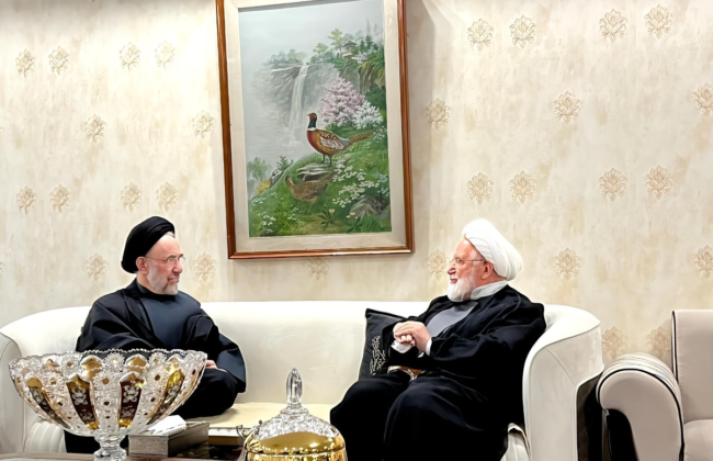 دیدار سیدمحمد خاتمی و مهدی کروبی