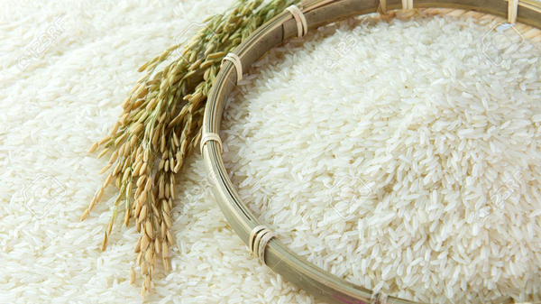 نرخ تبدیل شلتوک به برنج سفید در گیلان ابلاغ شد