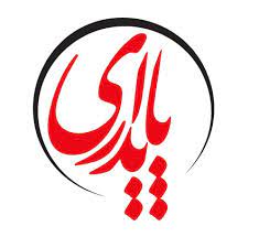 پایداری؛ اقلیتی که می‌خواهد برای همه تصمیم بگیرد!