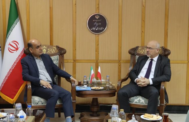 تلاش داریم روابط ایران و لهستان تقویت شود