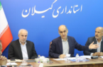 واردات چای به کارخانجات واگذار شد