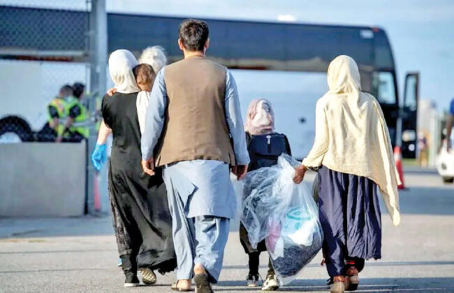 ۸۰ هزار ازدواج میان زنان و مردان ایرانی و افغان/ صدور شناسنامه چه ضوابطی دارد؟