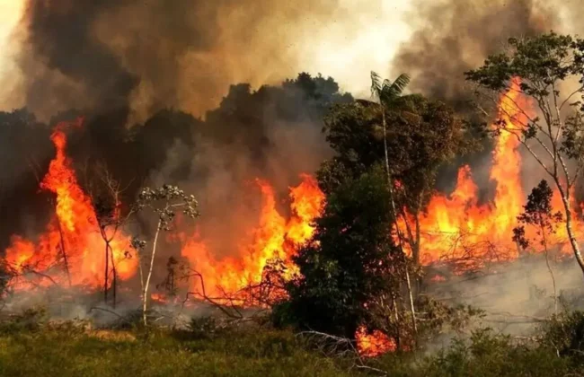 هشدار محیط زیست گیلان درباره افزایش خطر آتش‌سوزی در جنگل‌ها