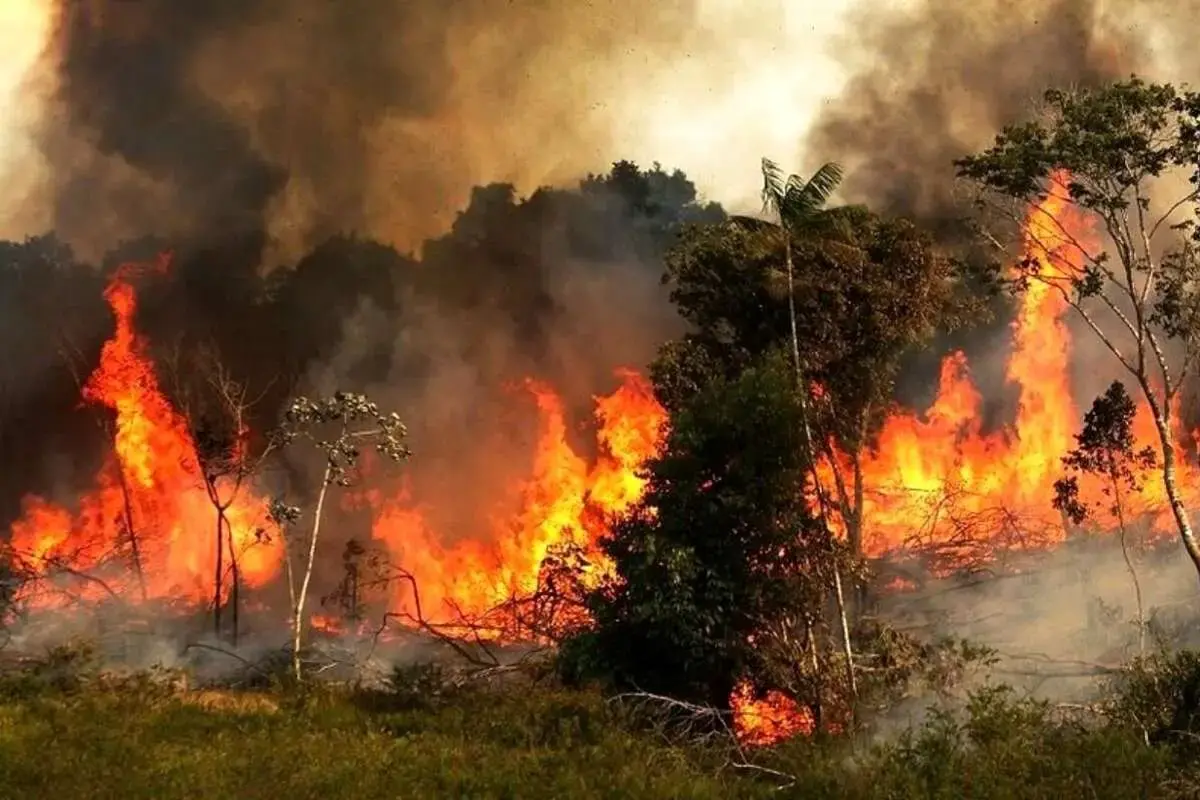 هشدار محیط زیست گیلان درباره افزایش خطر آتش‌سوزی در جنگل‌ها