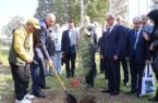 کاشت درخت صلح با حضور استانداران خزر