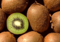 کیوی گیلان به ۳۰ کشور جهان رسید کیوی گیلان به ۳۰ کشور جهان رسید