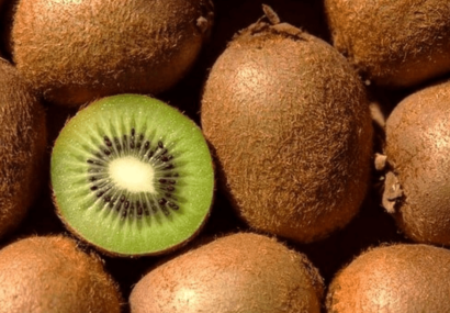 کیوی گیلان به ۳۰ کشور جهان رسید کیوی گیلان به ۳۰ کشور جهان رسید