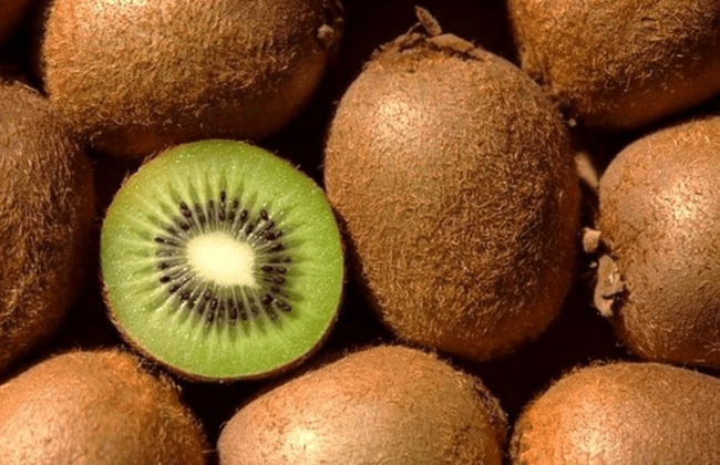 کیوی گیلان به ۳۰ کشور جهان رسید