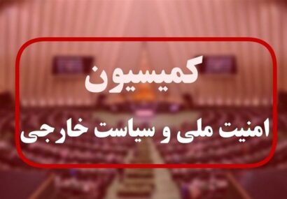 بررسی آخرین وضعیت امنیتی کشور در مجلس